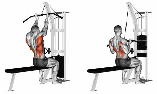 Pulldown back exercise with supine grip